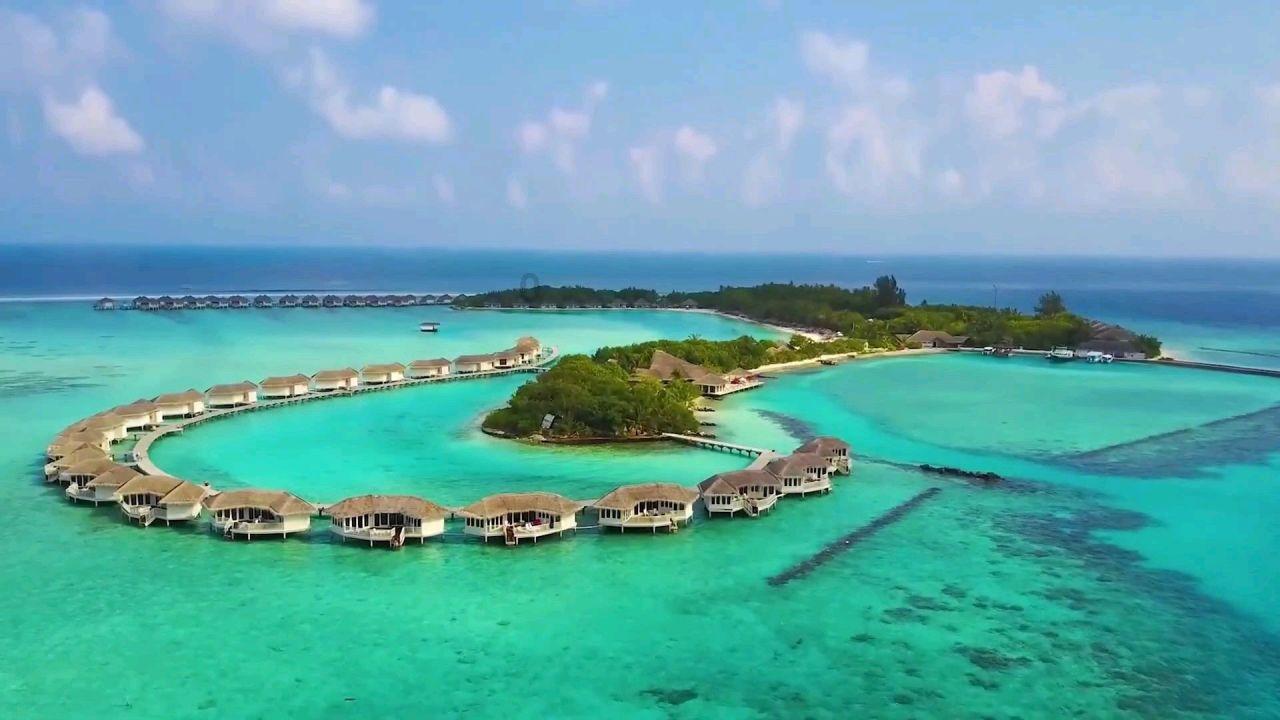 汽车销售遭遇淡季，特斯拉销量暴跌89.1%，是因为林志颖事件吗？游戏画面