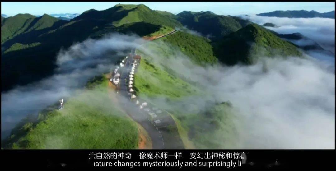年内多家险企披露增资扩股方案  总增资额超110亿元